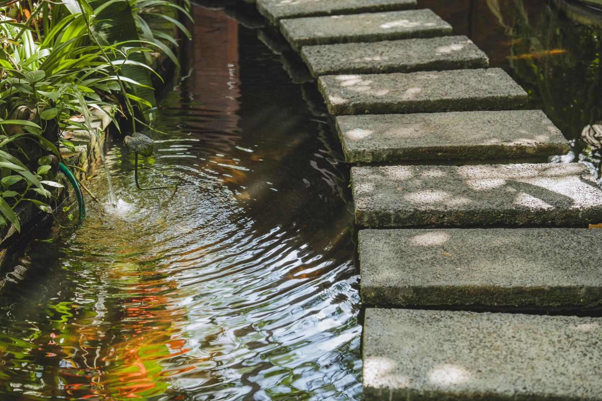 The Hidden Paradise Ubud - Chse Certified Hotel Exterior photo